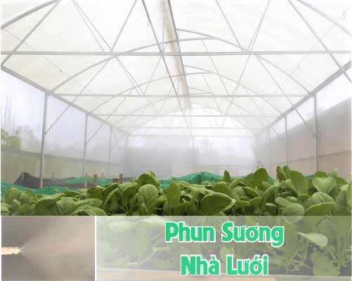 phun sương nhà  lưới