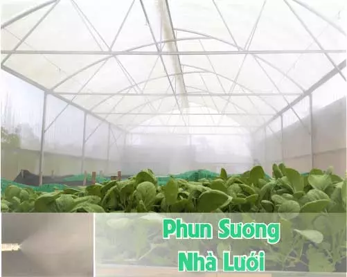 phun sương nhà  lưới