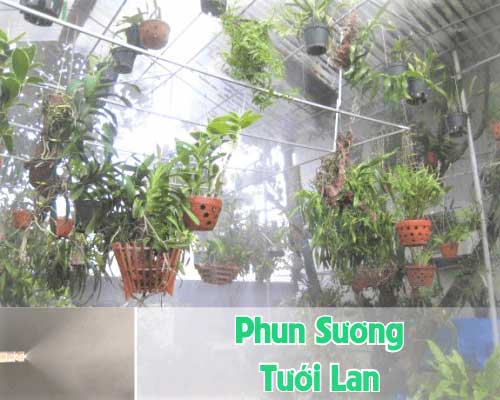 phun sương tưới lan