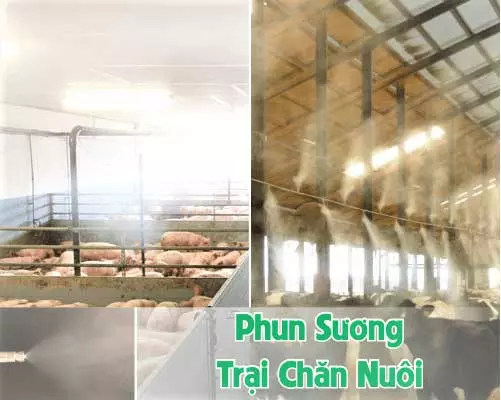 phun sương trại trăn nuôi