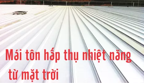 lap_phun_suong_mai_ton_01
