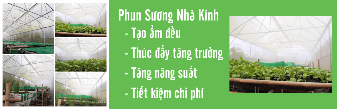 phun_suong_nha_kinh_01