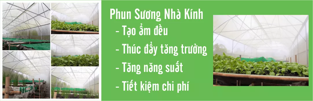 phun_suong_nha_kinh_01